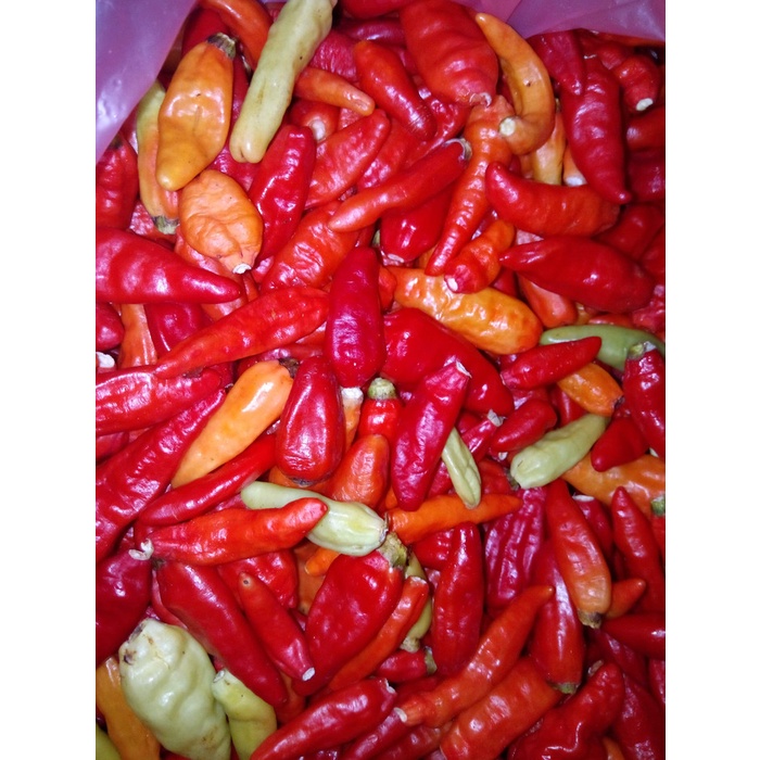 

Sambal-Aneka- Cabe Rawit Merah -Aneka-Sambal.