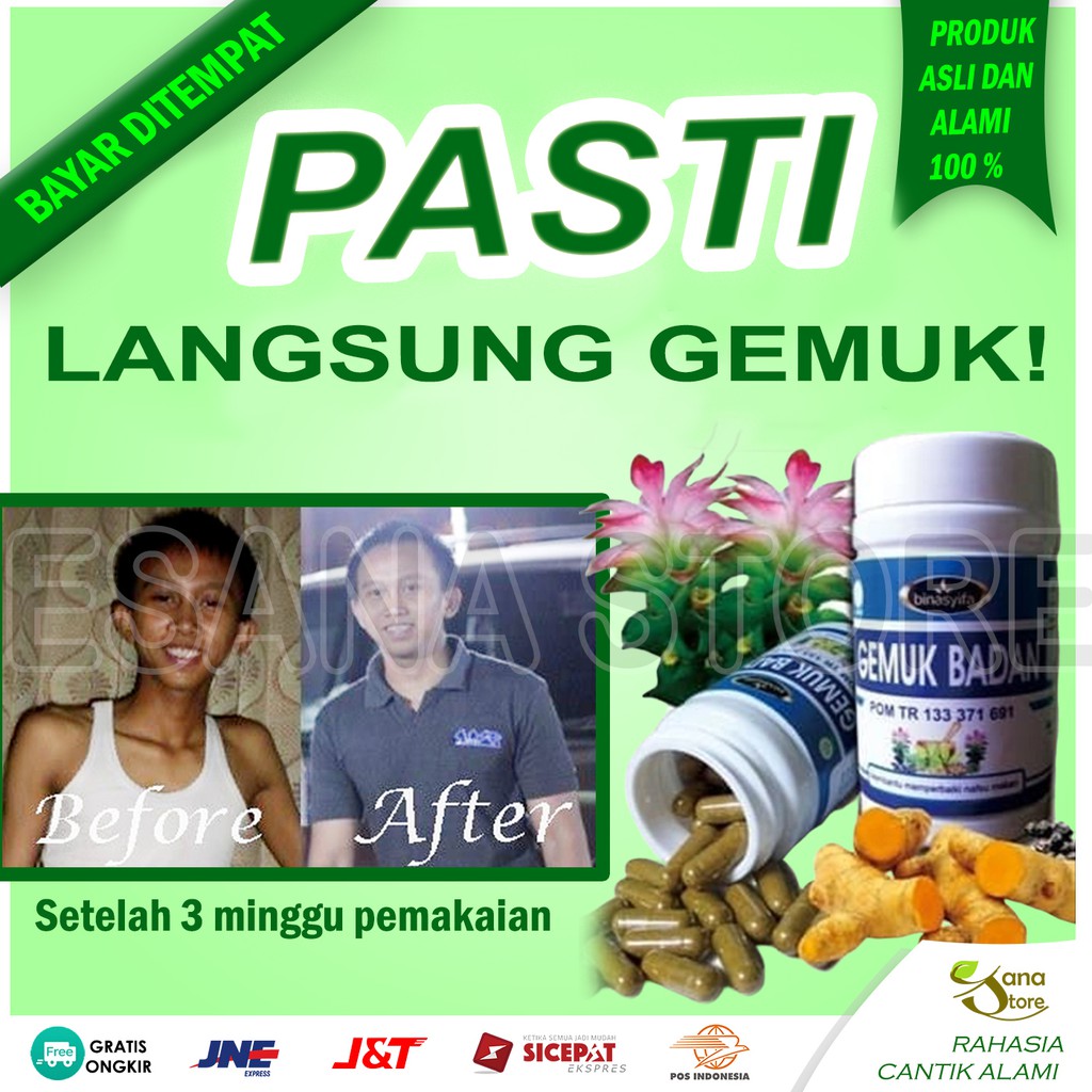KAPSUL GEMUK PENAMBAH NAFSU MAKAN BINASYIFA BADAN BINA SYIFA PENGGEMUK BERAT BADAN PENGEMUK ES01
