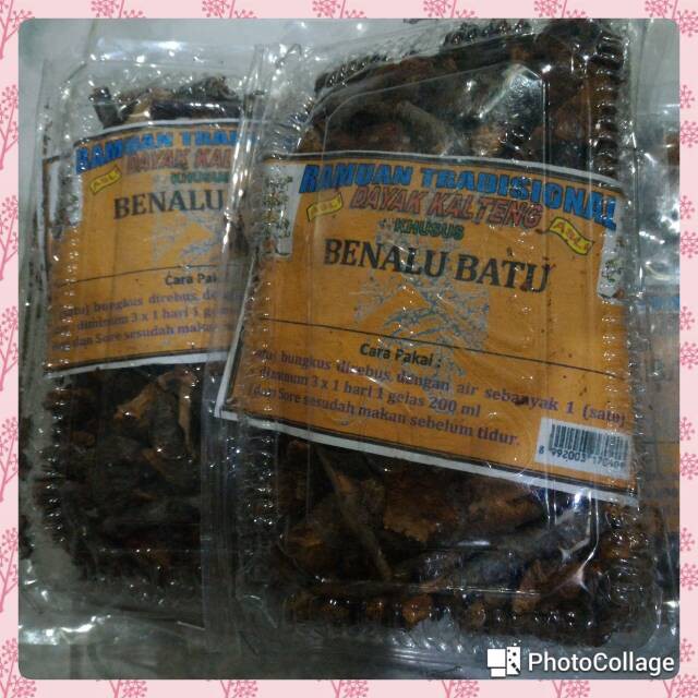 BENALU BATU KALIMANTAN-OBAT DIABETES-TUMOR