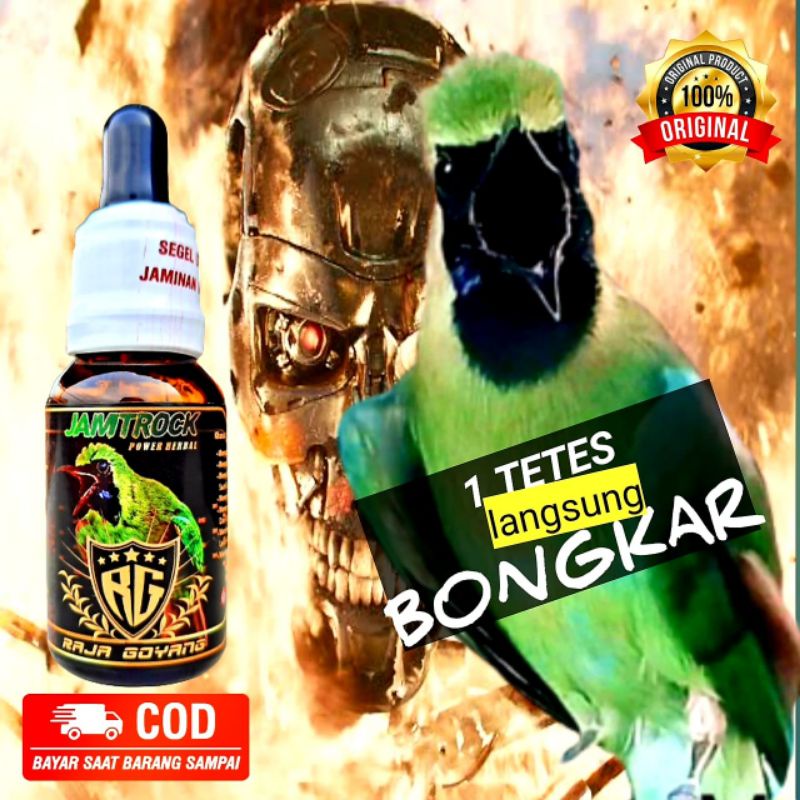 Oil Booster JAMTROCK Cucak Hijau Raja Goyang (RG) termurah bisa Cod 100% produk Original