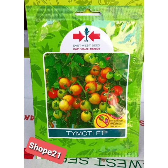 Benih Tomat Tymoti f1 isi 150 biji