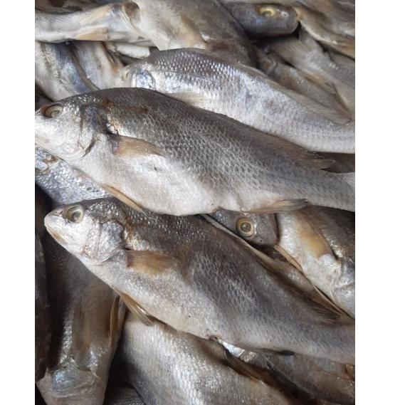

Harga Termurah VWCIC Ikan Asin Sileman 500 gr 49 Serba Murah