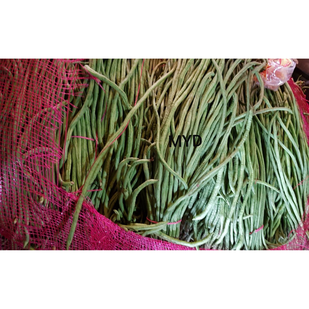 

[Bumi Mart] Kacang Panjang SEGAR | 1/2 kg | 1KG