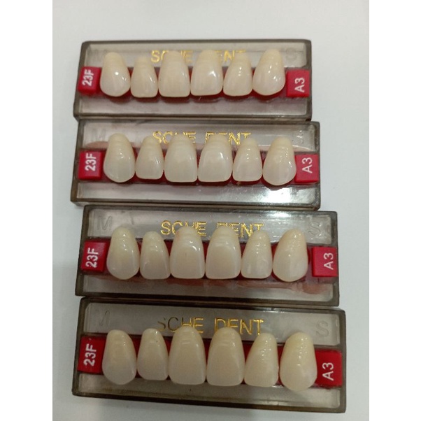 schedent gigi palsu akrilik sche dent anterior atas dan bawah