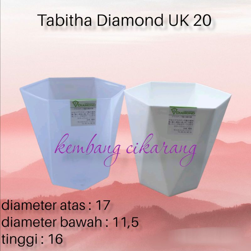 TABITHA DIAMOND 20 pot bunga diamond cantik tebal bagus