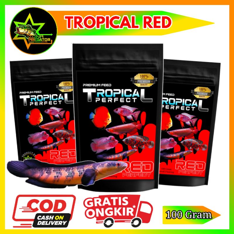 Pelet Tropical Perfect Red Pelet Channa Maru Red