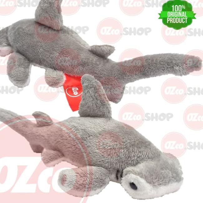 500 Koleksi Gambar Ikan Hiu Martil Gratis Terbaik