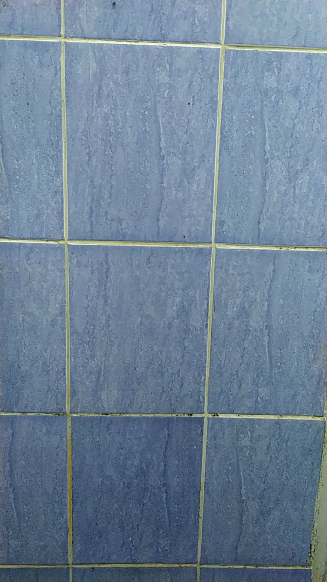 Calista Oedo Bulat (1 Pabrik Dengan Calista Otaru) Ready Stock