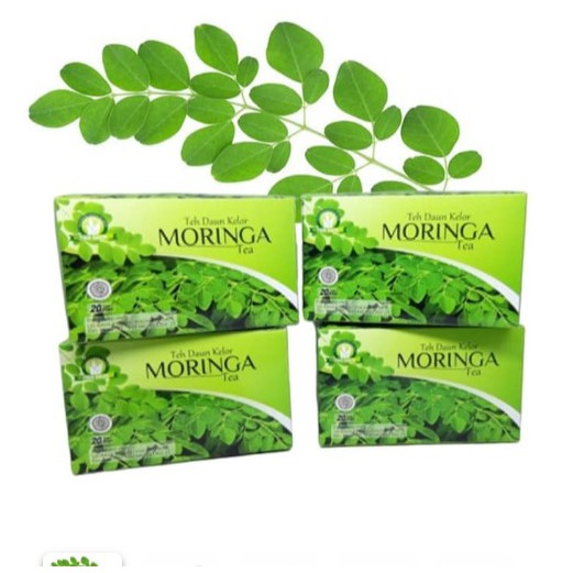 

Daun Kelor Moringa Teh Herbal 100% Alami