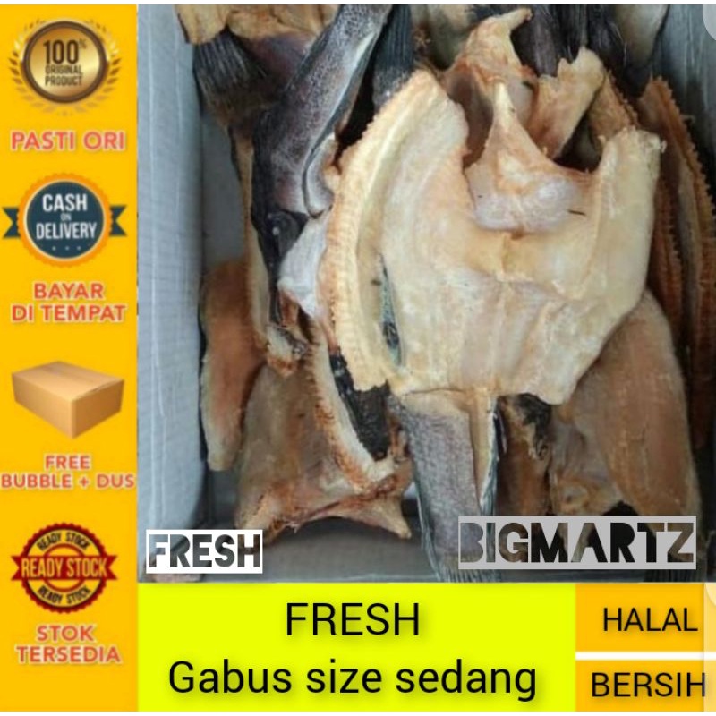 

Ikan asin gabus super size sedang fresh kering