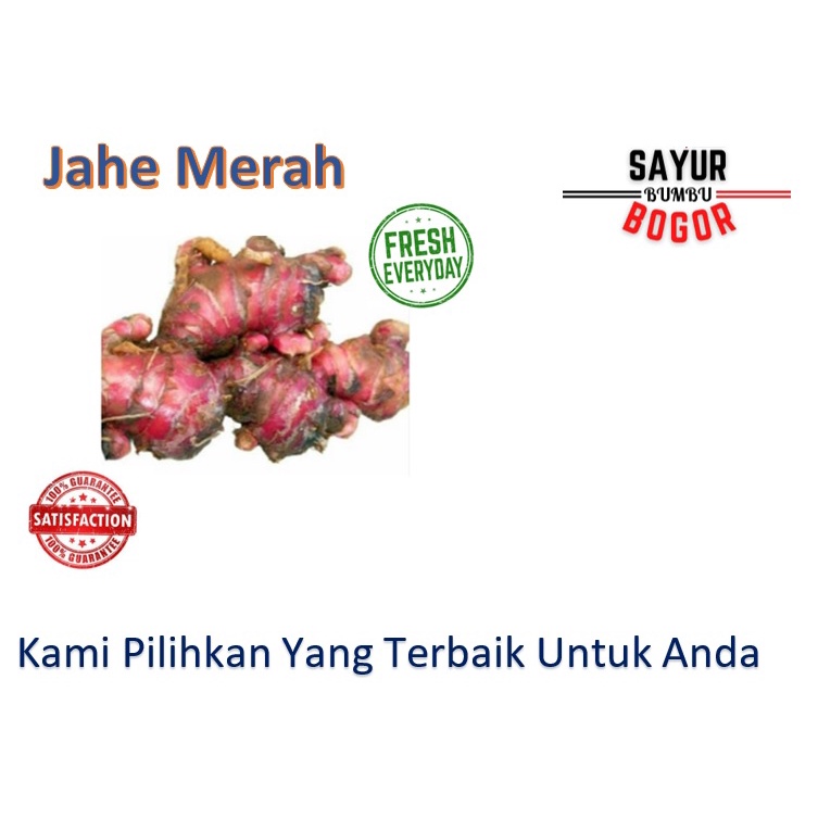 

Jahe Merah / Sayuran Segar / Sayur Bumbu / Sayur Bumbu Bogor