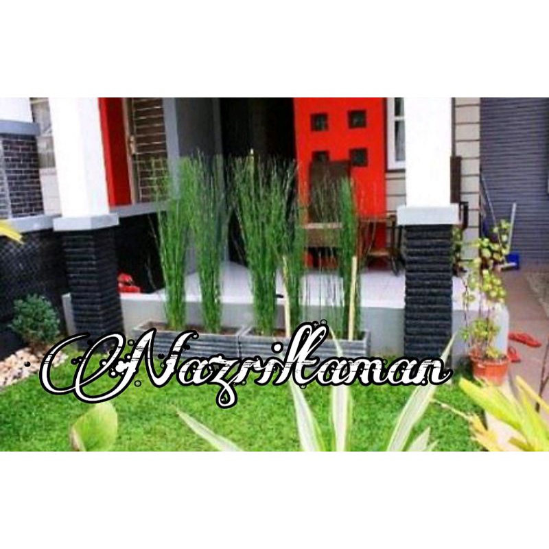 Jasa pembuatan taman / jasa pembuatan taman