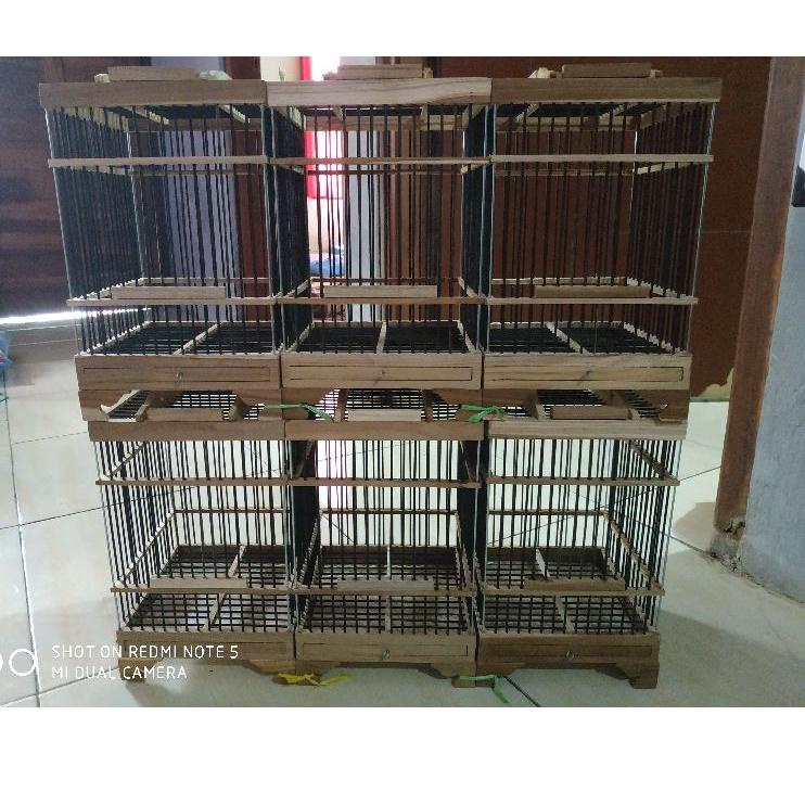 Lagi Tren.. Sangkar Kandang Burung Pleci Kolibri Kecil Mini Hitam