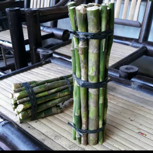 Hiasan bambu hoki per batang