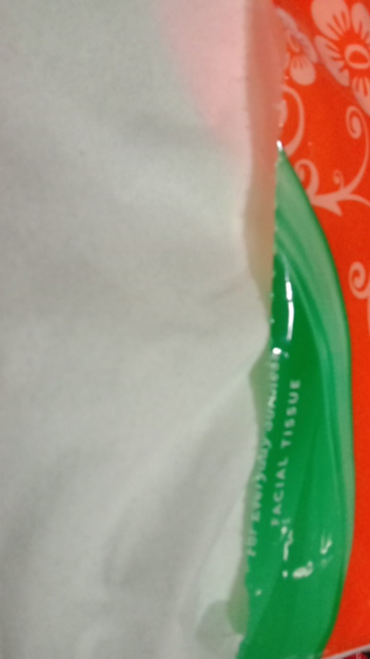 Tissue Paseo 250 Sheet 2 Ply