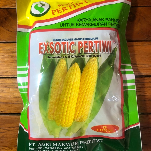 Benih Jagung Manis Exotic Pertiwi F1