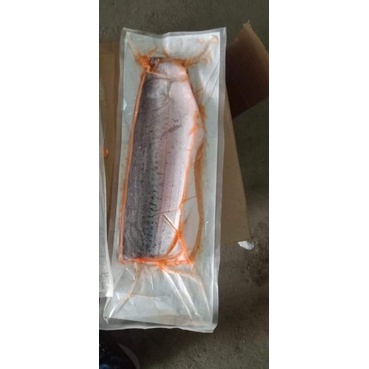 

Salmon Fillet