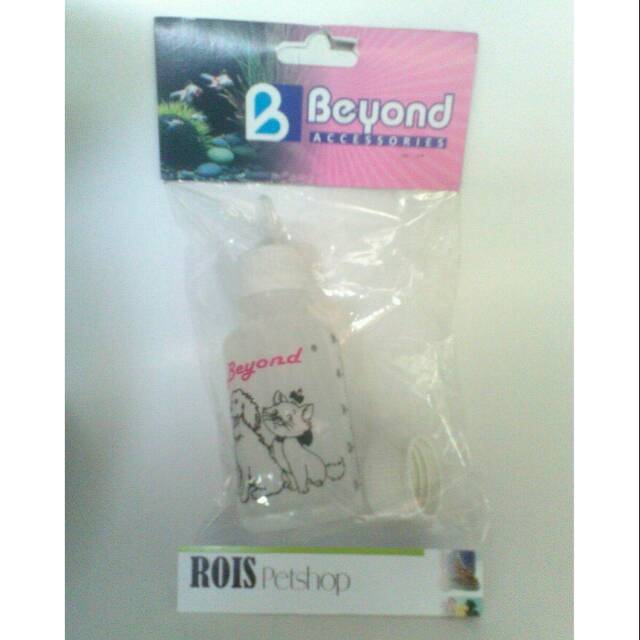 Dot anak kucing