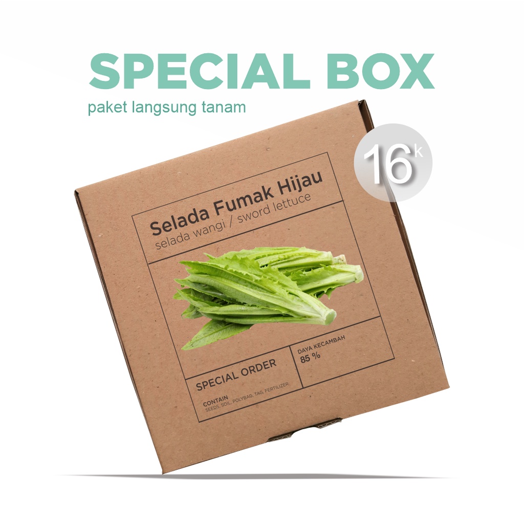 Paket Langsung Tanam - Gardening Kit - SPECIAL BOX - Benih Selada Fumak Hijau Siomak Wangi Sword Lettuce Seeds