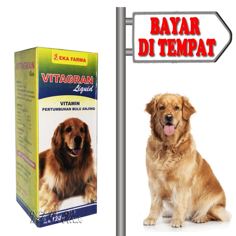 Vitamin Tumbuh Bulu Anjing Pelebat Obat Anti Rontok Vitagran Dog