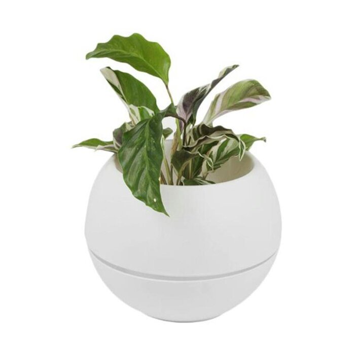 POT BOLA VIENNA 18 CM 676 BESAR | pot vienna Green leaf asli / vienna ori / pot bola / pot bunga / p