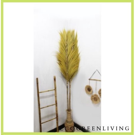 Rayung Stick / Bunga Kering / Dried flower / Bunga Hias / Natural Leaf Rayung Stick (Bundling isi 2)