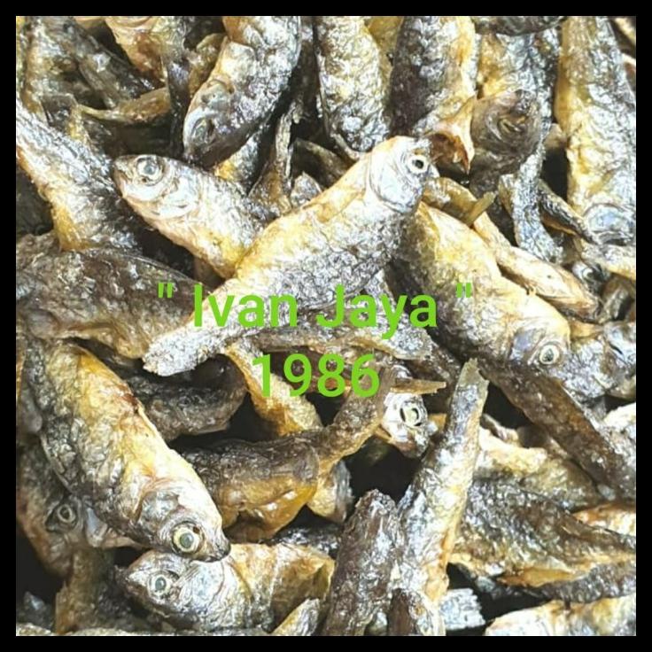 

DISKON TERBATAS !!! IKAN DANAU SINGKARAK/BILIH KECIL/BILIS/TAWAR PADANG 1KG/1000 GRAM TERLARIS