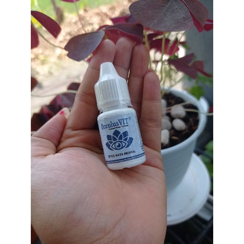 tetes mata OCCULUS VIT