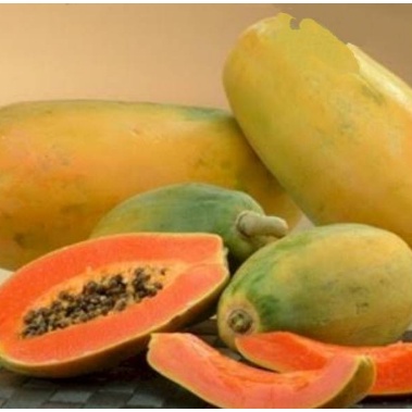 Terlaris Biji Benih Bibit Buah Pepaya Bangkok