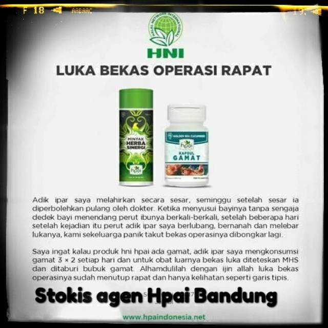 Hni Hpai Perawatan Luka Habis Oprasi Perawatan Luka Dalam Gamat Minyak Herba Sinergi Shopee Indonesia