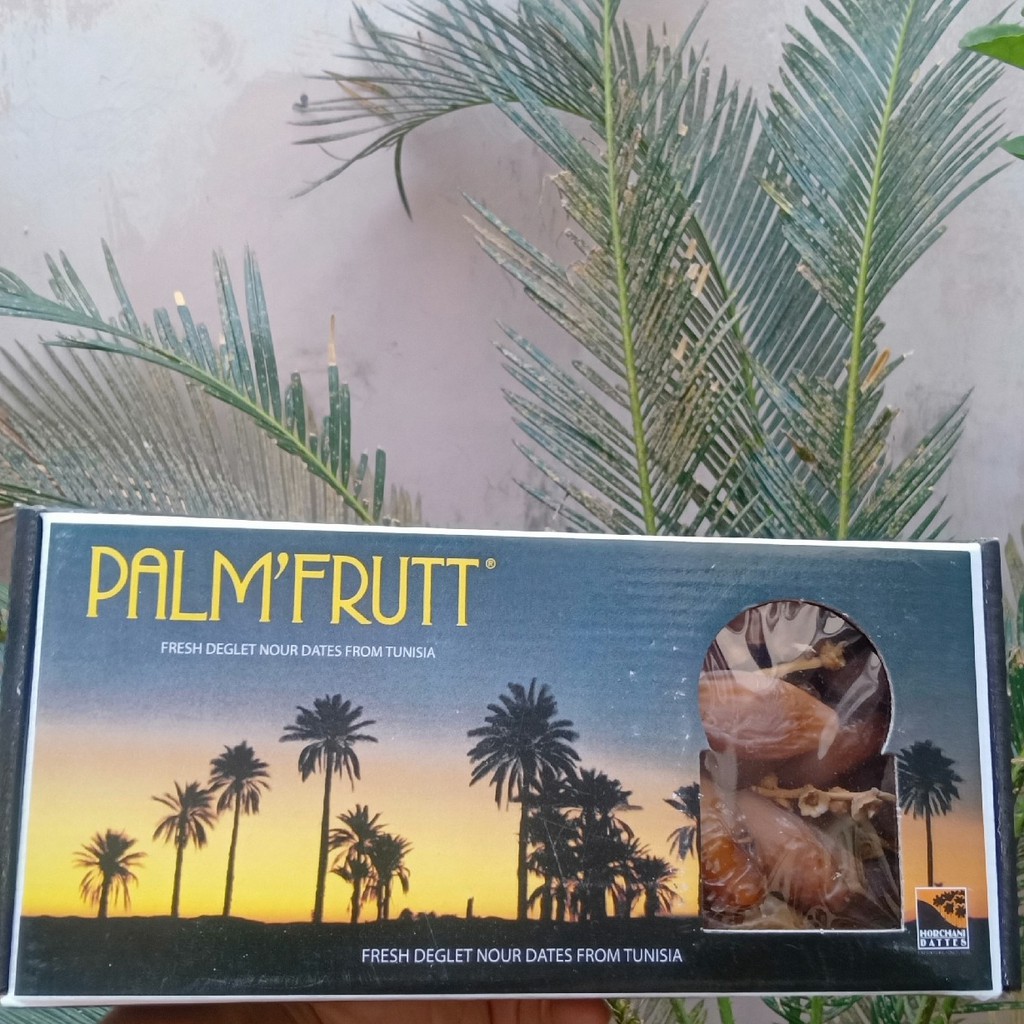 

Kurma Palm frutt exp 2024