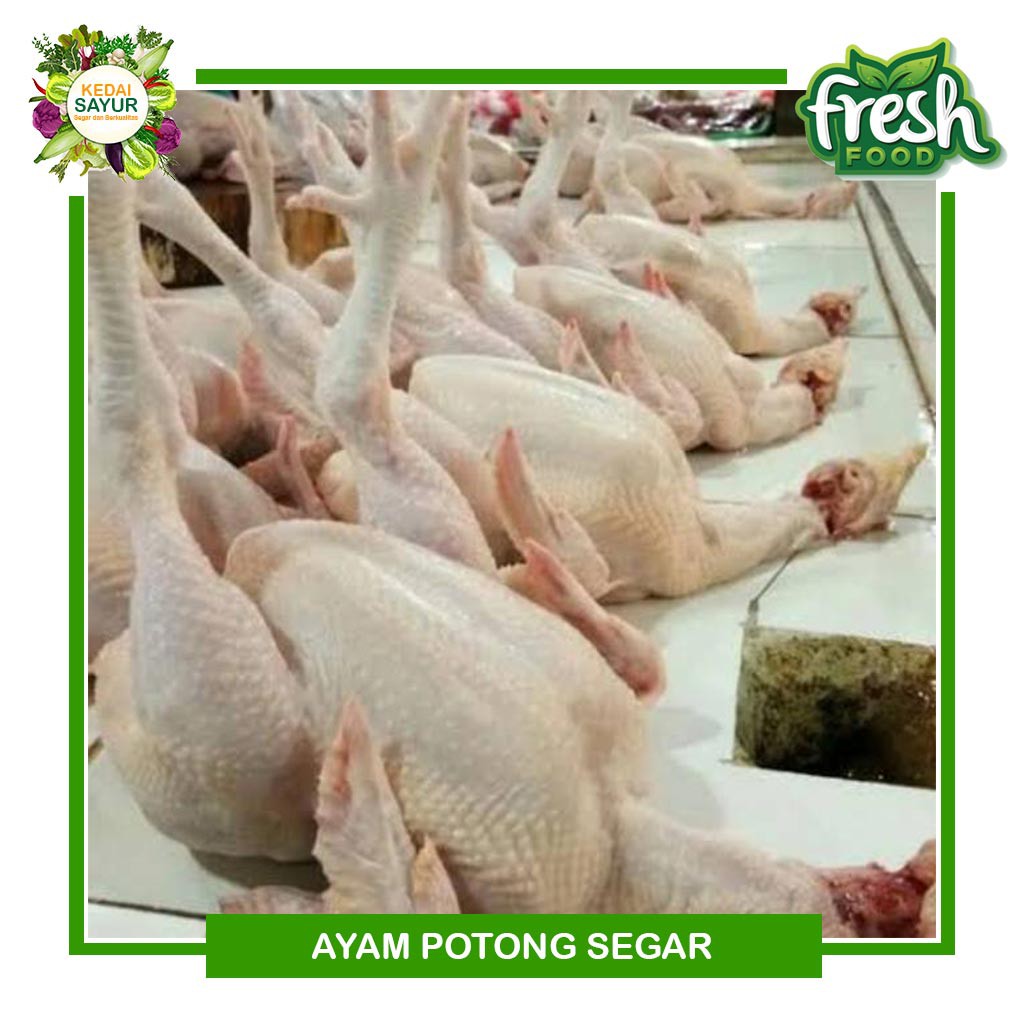 

Ayam Negeri/Negri Potong Utuh Segar 1-1.3 KG - Gerai Sayur Ayam Segar Depok