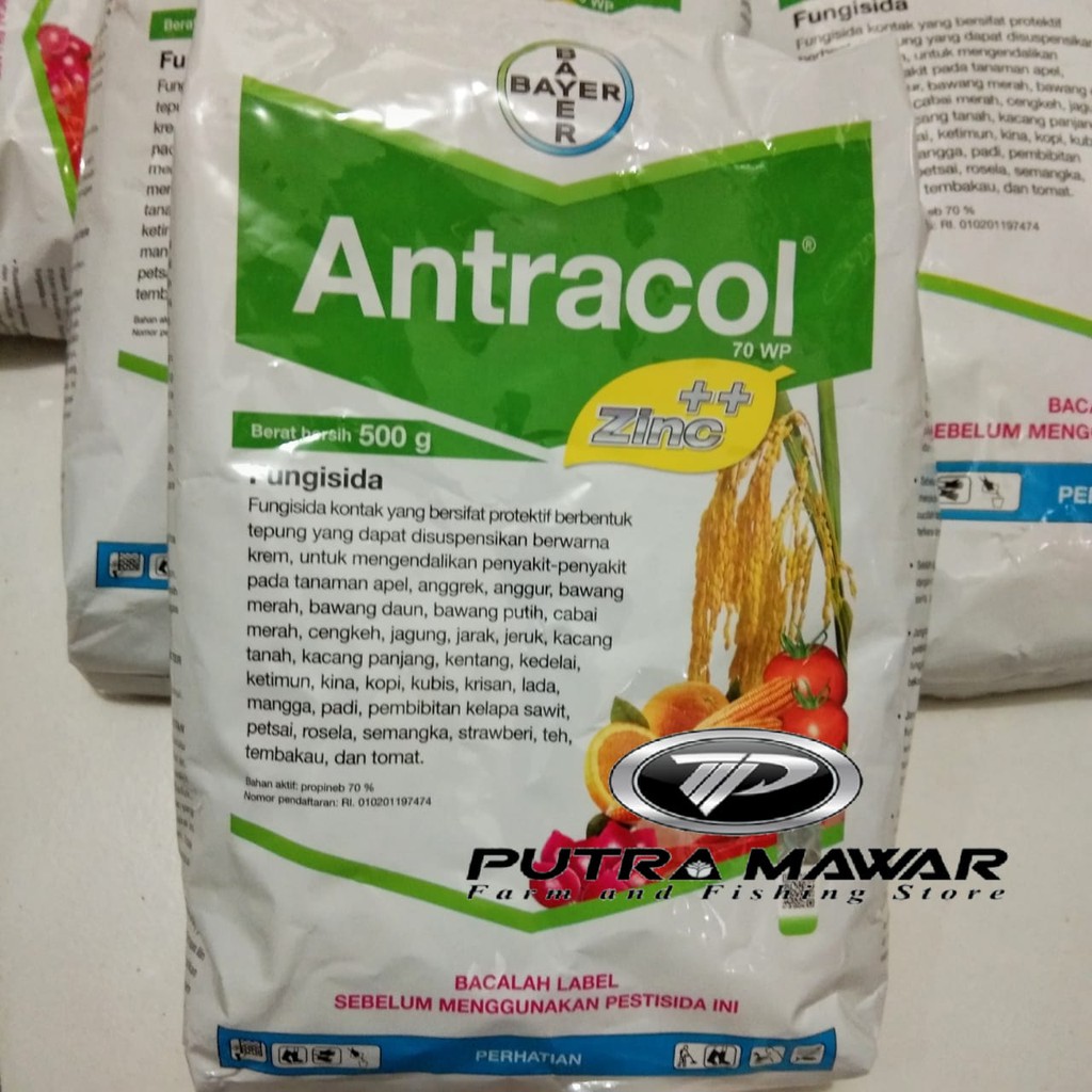 Fungisida ANTRACOL 70WP 500gr. bahan aktif propinep 70%/obat semprot/obat jamur tanaman