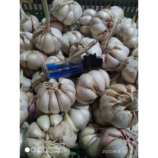 

Bawang putih 1/2 kg