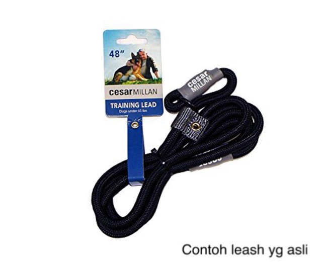 CESAR MILLAN DOG LEASH TALI TUNTUN ANJING TALI ANJING HARNESS ANJING HARNESS KUCING HARNES ANJING