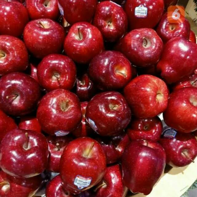 

Apel merah washington isi 1kg