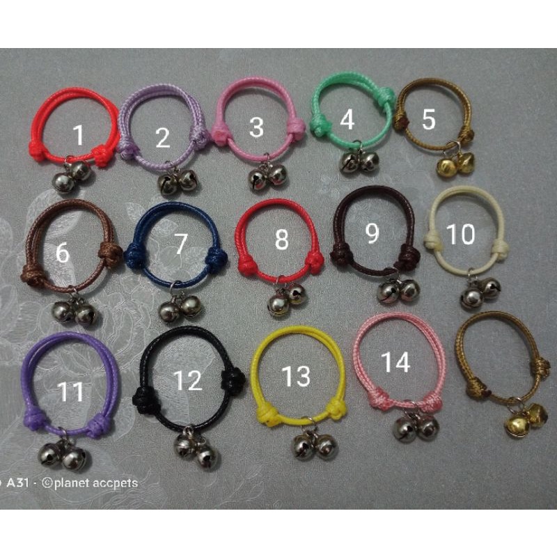 kalung sugar glider bajing tupai