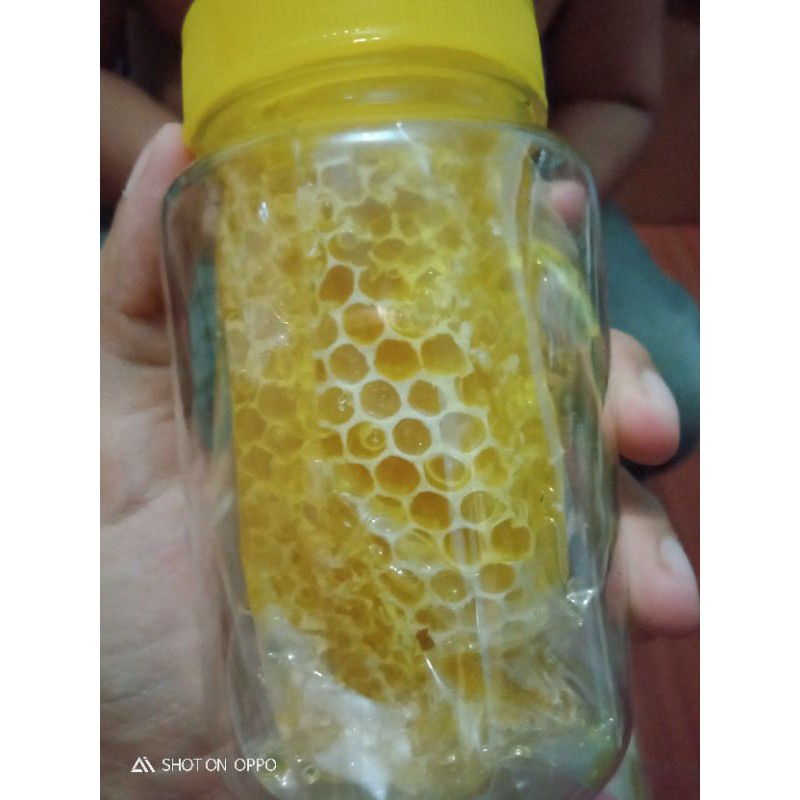 

Madu sarang 100 gr