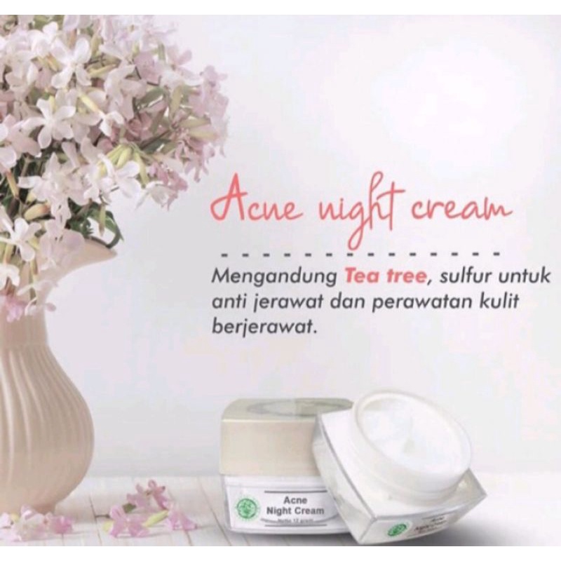 Acne Night Cream Ms Glow Original / Cream Malam Acne Ms Glow
