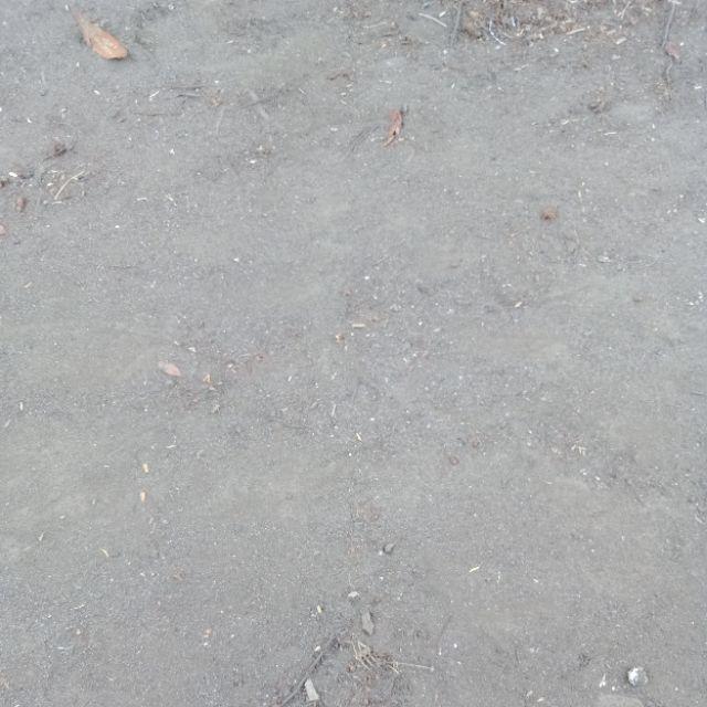 Baju Batik Keluarga Kd Kerang Couple Family Batik Anak Cewek Cowok