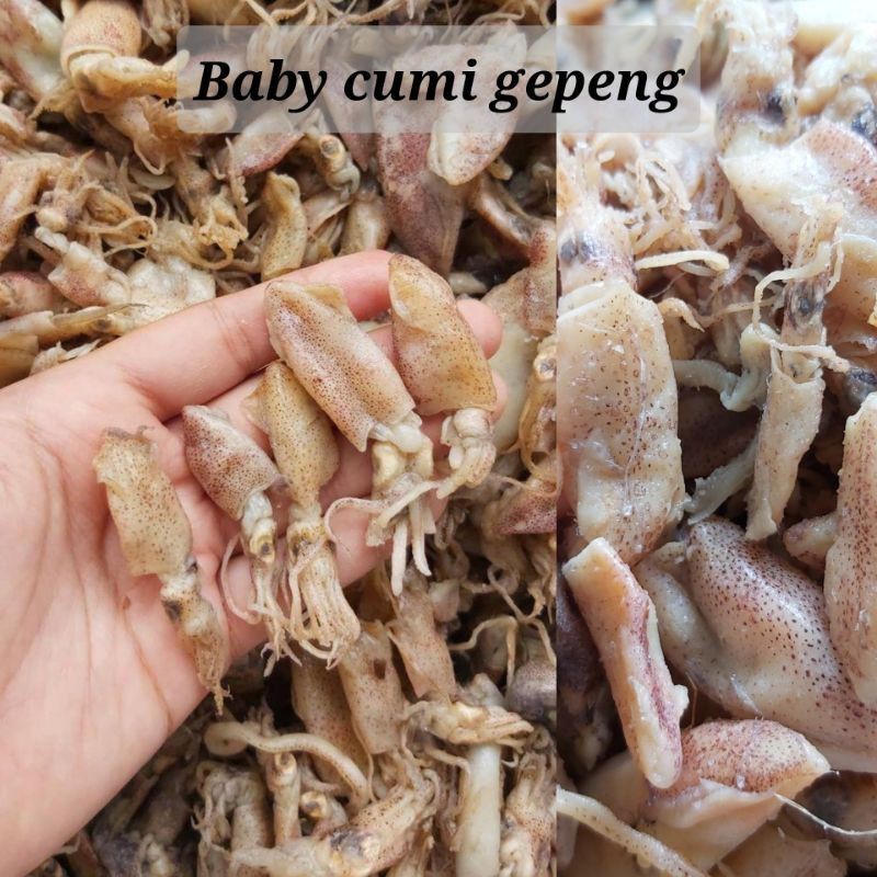 

baby cumi gepeng 250gr