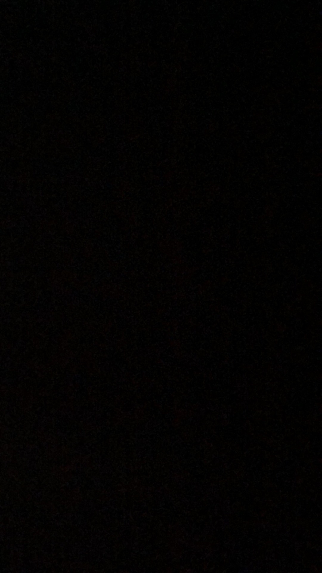 Anggrek Oncidium Odontorus Princess Twinstar