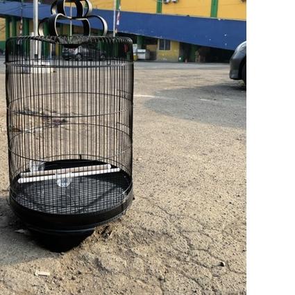 ☋ SANGKAR BESI JUMBO F1 diameter 42cm / KANDANG BESI JUMBO f1 ♀