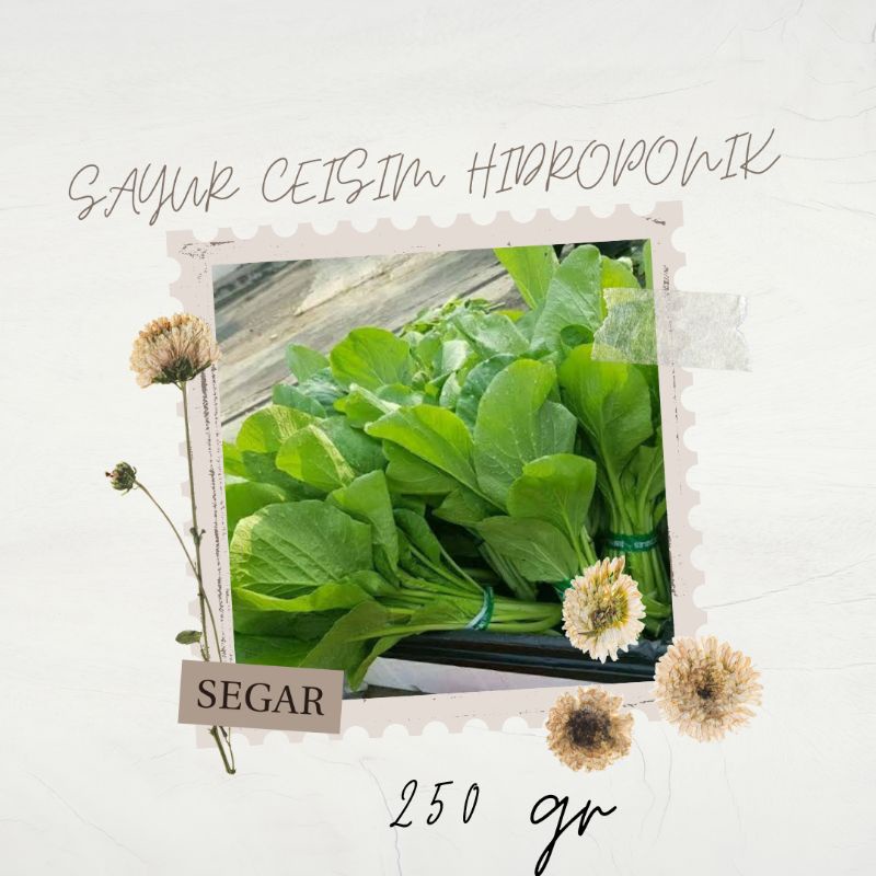 

ceisim hidroponik 250gr