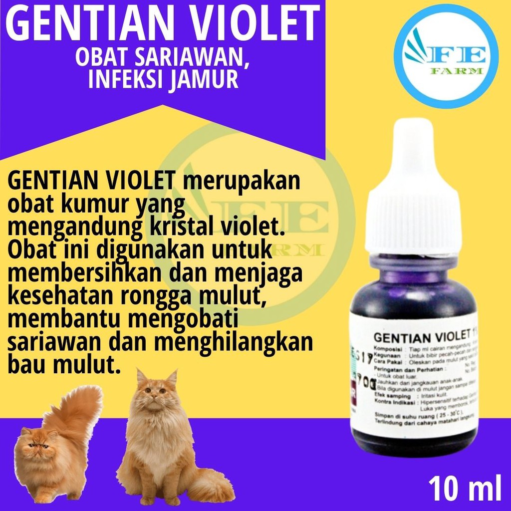 Obat Sariawan Kucing Gusi Berdarah Mulut Kucing Bau Tidak Sedap FEFARM