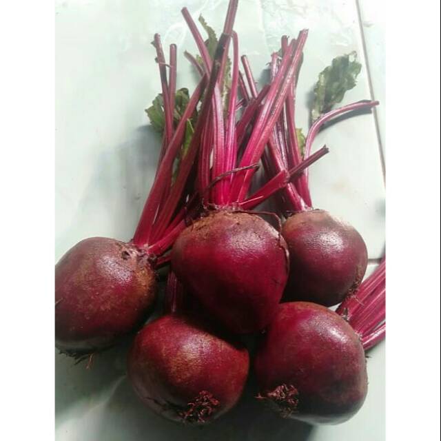 

Buah Bit / Beet Root Fresh Langsung dari Petani 1KG