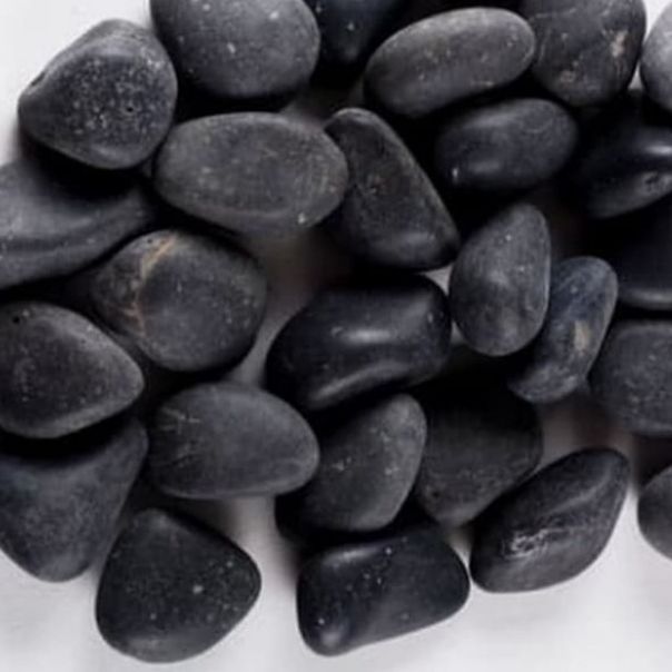 Batu Koral Hitam Batu Hias Koral Bengkulu 1 kg