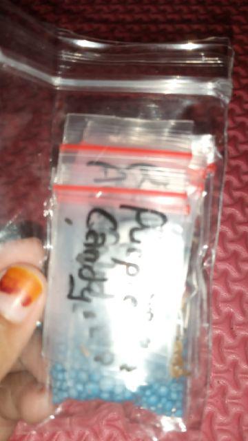 Vinca Softpink Hallo (benih/seed/biji) Tegak