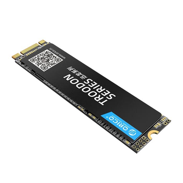 SSD M.2 NGFF ORICO 256GB SATA 2280 TROODON SERIES N300-256GB - M2 NGFF SATA III