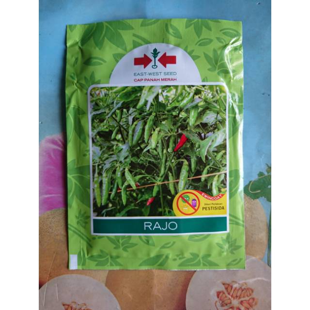 Benih Cabe Rawit Hijau RAJO 2250 Biji